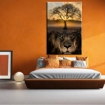 afrika, oroszlán, macska, szavanna, vászonkép, Afrika festővászon
