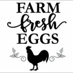 tyúk, kakas, csirke, tojás, farm, falmatrica