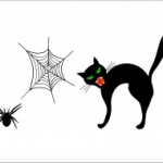 fekete macska pókhálóval falmatrica, Fekete macska csomag
