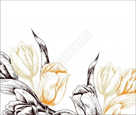 Színes tulipánok
