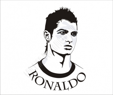 Ronaldo falmatrica