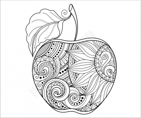 Alma falmatrica