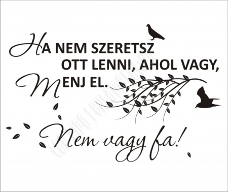 Menj el