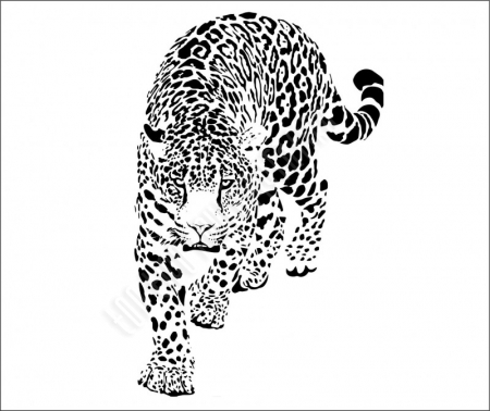 Jaguár