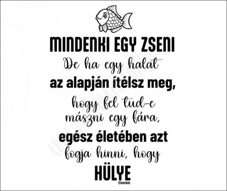 Mindenki egy zseni