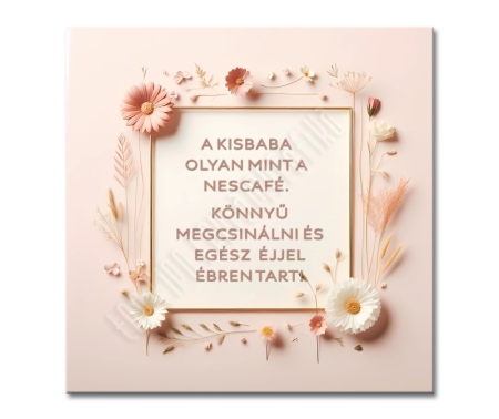 Kisbaba vászonkép