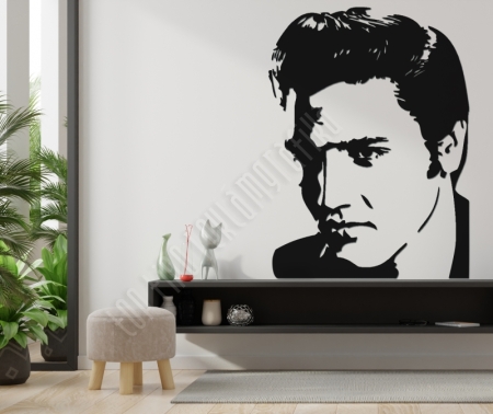 Elvis Presley a király
