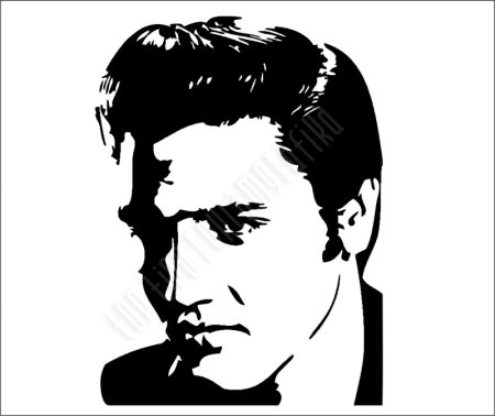 Elvis Presley a király