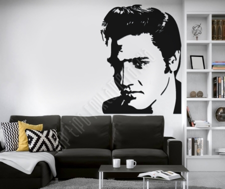 Elvis Presley a király