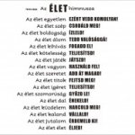 harc, játék, ének, idézet, falmatrica, Élet, Teréz anya