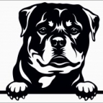 kutyus, mancs, szem, kiskutya, falmatrica, Rottweiler