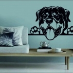 erő, nyelv, mancs, eb, falmatrica, Rottweiler