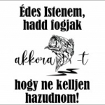 sport, humor, ajándék, falmatrica, Horgász
