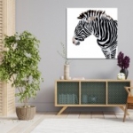 szavanna, csikó, ló, Afrika, vászonkép, Zebra