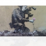 virág, növény, Banksy, vászonkép