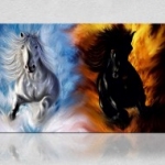 ló, fehér ló, lovak, ménes, vágta, havas vágta, nyomtatás, vászonkép